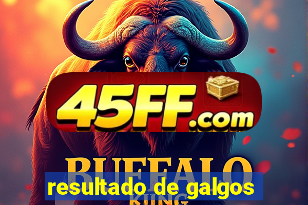 resultado de galgos